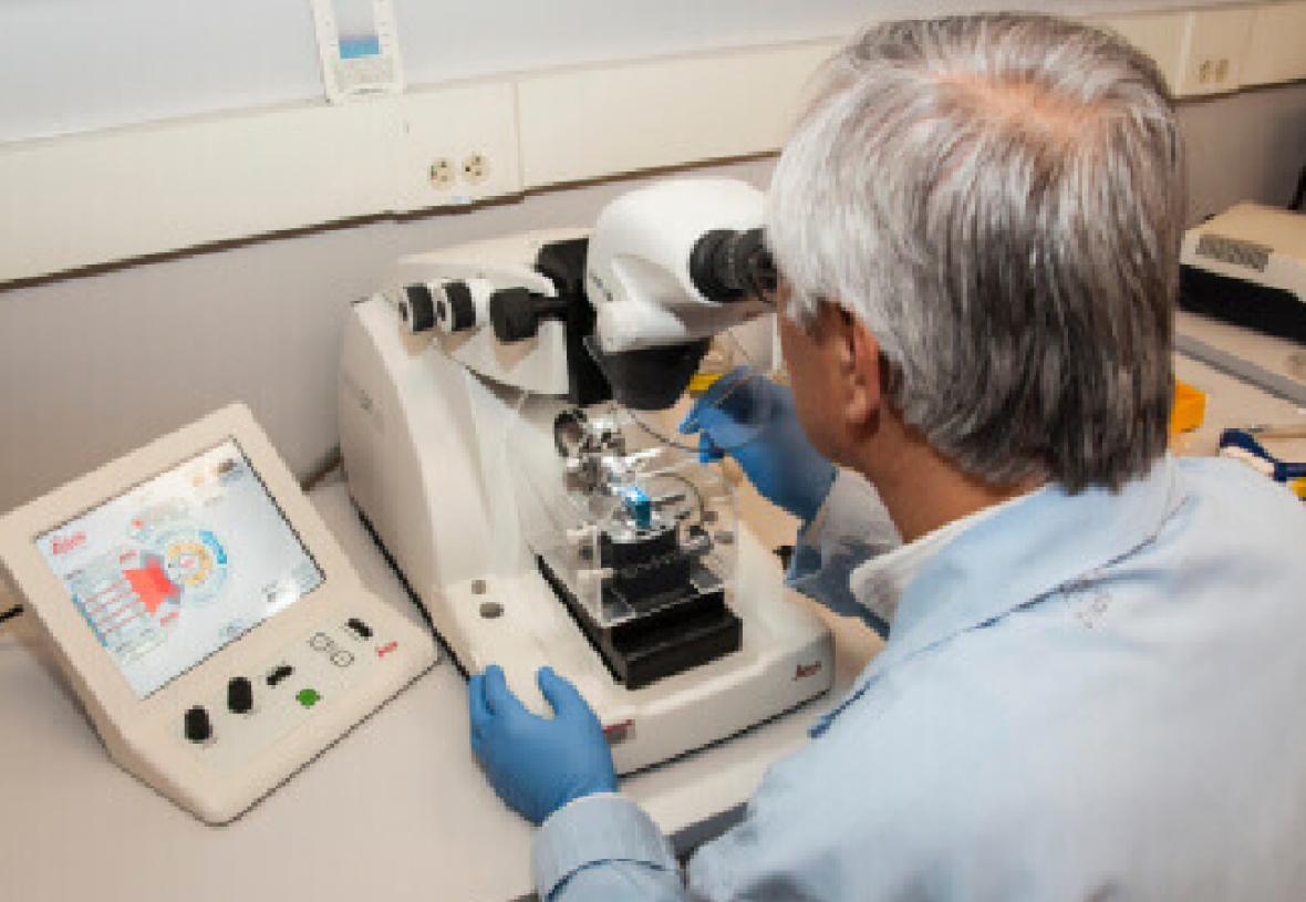 LAB TECH VIEW INTO MICROSCOPE DIAGNOSTIC 01 LAB TECH VIEW INTO MICROSCOPE DIAGNOSTIC 01