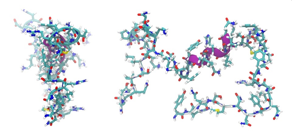 molecule 01 wide